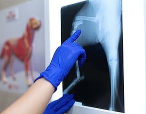 Clear answers with X-rays