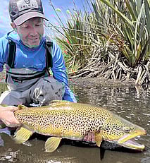 Australian north island fly fishing guide rob vaz fly fishing rainbow trout