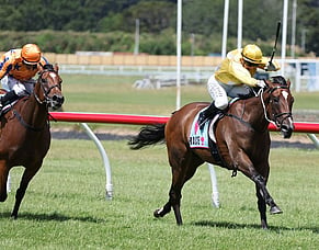 Milan Park Principal hops on NZB Kiwi ride