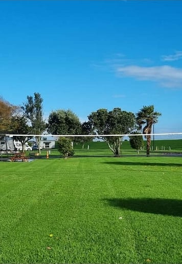 Volleyball Net