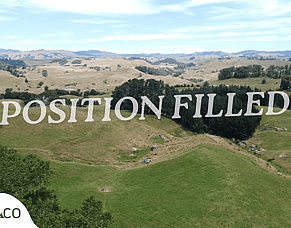 Lucrative Lease - 55ha Dry Stock Block