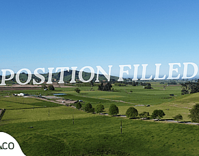 Tried and True in Te Awamutu - Contract Milking Role - 320 cows