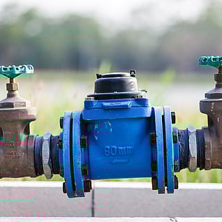 Backflow preventer