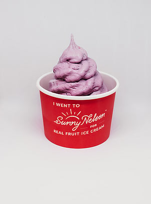 Blueberry Real Fruit Ice Cream