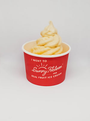 Mango Real Fruit Ice Cream