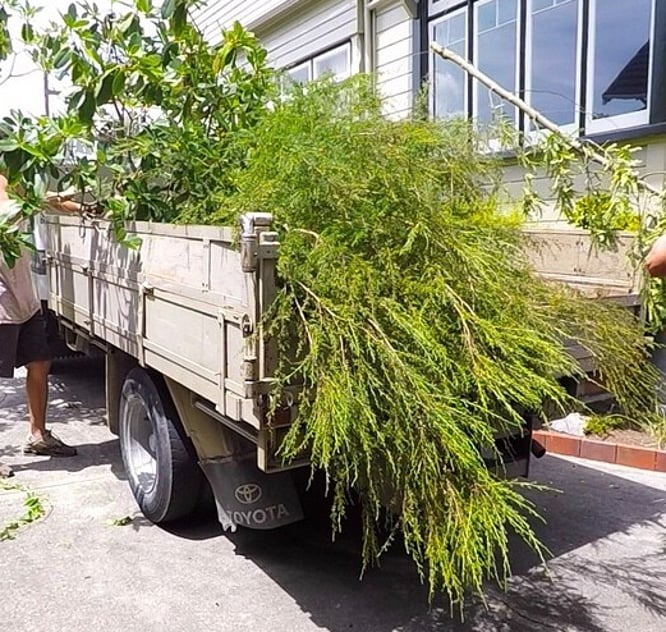 Property clean up and site preparation landscaping Nelson