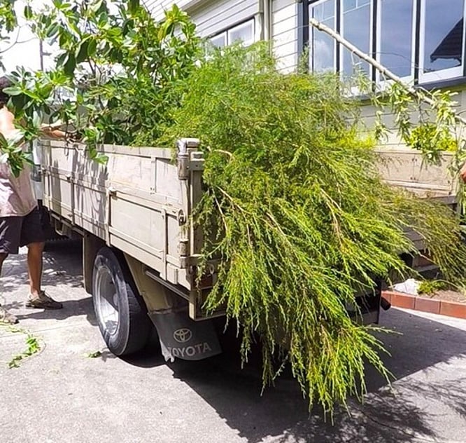 Property clean up and site preparation landscaping Nelson