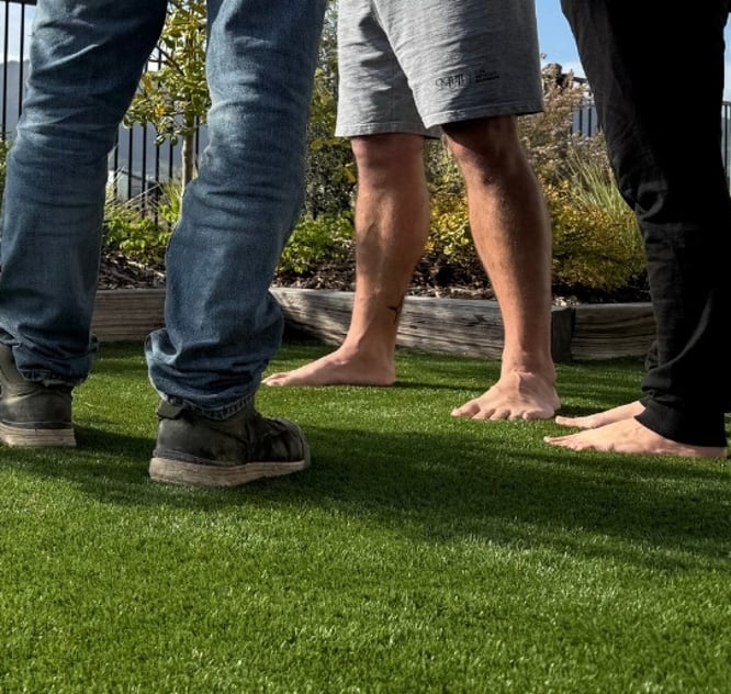 Landscape design plans for outdoor spaces in Nelson and Tasman