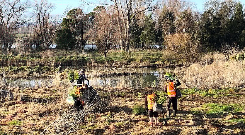 Team of workers planting with a pond in the background