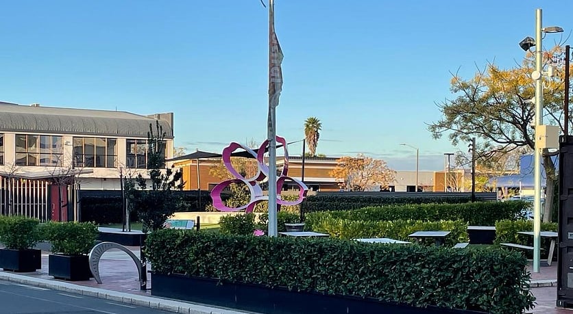 Hastings City CBD development hedges and pink sculpture