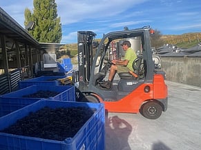 Looking Back at Kiwi Pinot Noir