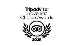 Tripadvisor Travler's Choice Award 2025 won by V8 Trike Tours