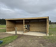 horse pole shed rolleston horse shed horse stable canterbury