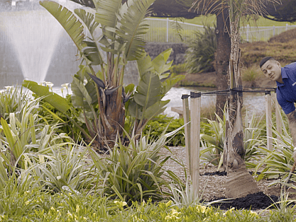 Creation Films Client: Fisher & Paykel Healthcare