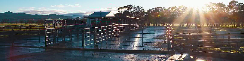 AgriHealth Testimonial "You are in safe hands when you work with Creation Films"