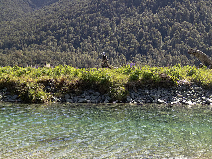 Backcountry wilderness NZ  Todd Adolph