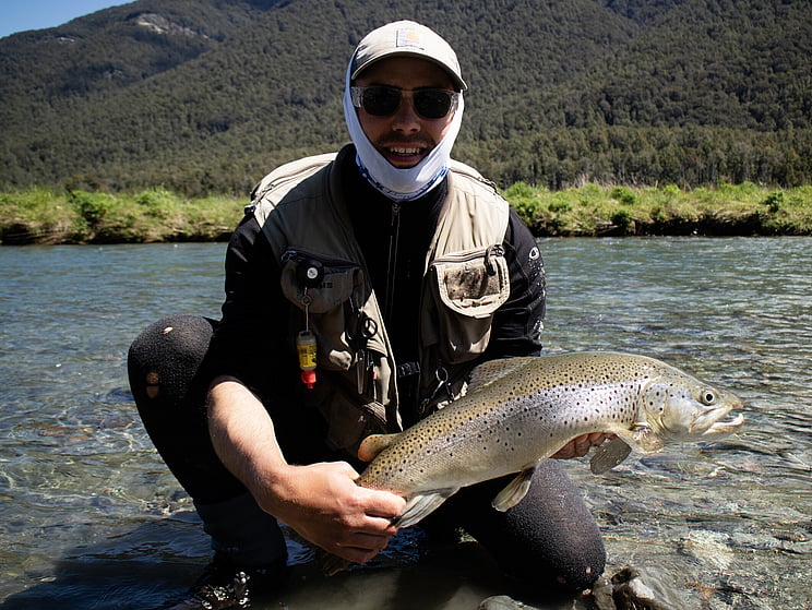 Strong wild back country brown. Todd Adolph