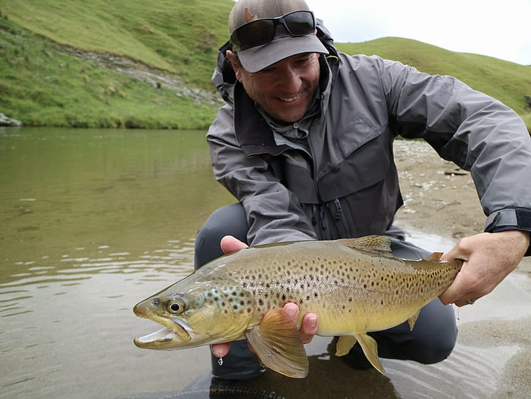 gin clear, fly fishing, NZ, New Zealand flyfishing, wild trout, brown trout, trophy trout. Todd Adolph NZ tourism, travel fluefiske flugfiske back country explore Queenstown, Otago, Southland Fiordland Wanaka