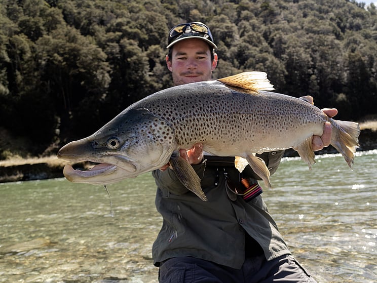 gin clear, fly fishing, NZ, New Zealand flyfishing, wild trout, brown trout, trophy trout. Todd Adolph NZ tourism, travel fluefiske flugfiske back country explore Queenstown, Otago, Southland Fiordland Wanaka