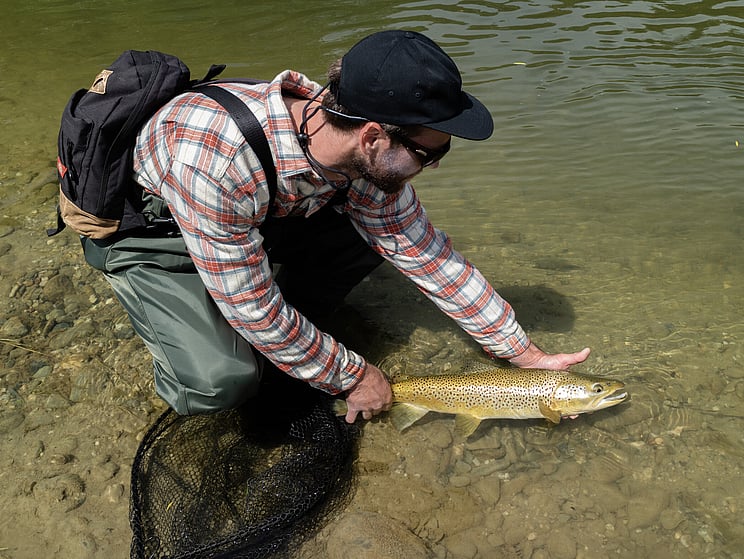 gin clear, fly fishing, NZ, New Zealand flyfishing, wild trout, brown trout, trophy trout. Todd Adolph NZ tourism, travel fluefiske flugfiske back country explore Queenstown, Otago, Southland Fiordland Wanaka