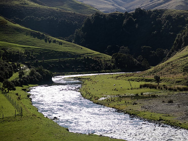 NZ tourism, adventure, Backcountry, explore, Todd Adolph, NZ, New Zealand, Brown Trout, flyfishing, otago, southland, south Island, Fishing Guide, fishing fluefiske, flugfiske