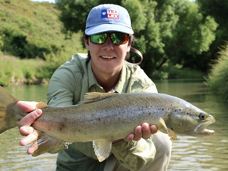 NZ tourism, adventure, Backcountry, explore, Todd Adolph, NZ, New Zealand, Brown Trout, flyfishing, otago, southland, south Island, Fishing Guide, fishing fluefiske, flugfiske