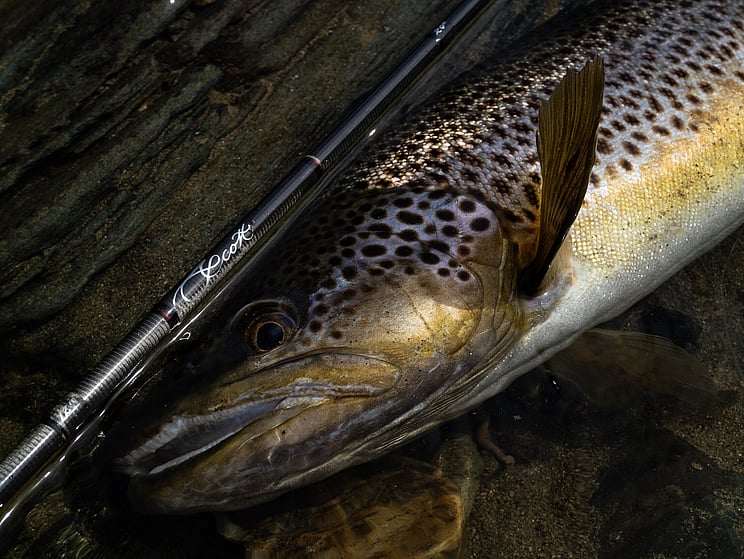 NZ tourism, adventure, Backcountry, explore, Todd Adolph, NZ, New Zealand, Brown Trout, flyfishing, otago, southland, south Island, Fishing Guide, fishing fluefiske, flugfiske