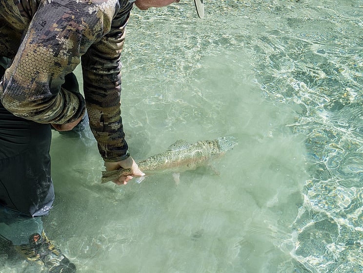 NZ tourism, adventure, Backcountry, explore, Todd Adolph, NZ, New Zealand, Brown Trout, flyfishing, otago, southland, south Island, Fishing Guide, fishing fluefiske, flugfiske