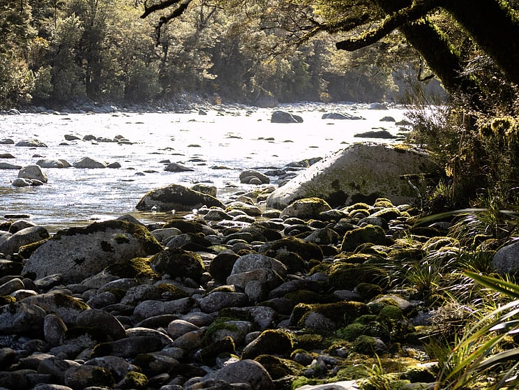 NZ tourism, adventure, Backcountry, explore, Todd Adolph, NZ, New Zealand, Brown Trout, flyfishing, otago, southland, south Island, Fishing Guide, fishing fluefiske, flugfiske
