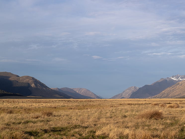 NZ tourism, adventure, Backcountry, explore, Todd Adolph, NZ, New Zealand, Brown Trout, flyfishing, otago, southland, south Island, Fishing Guide, fishing fluefiske, flugfiske
