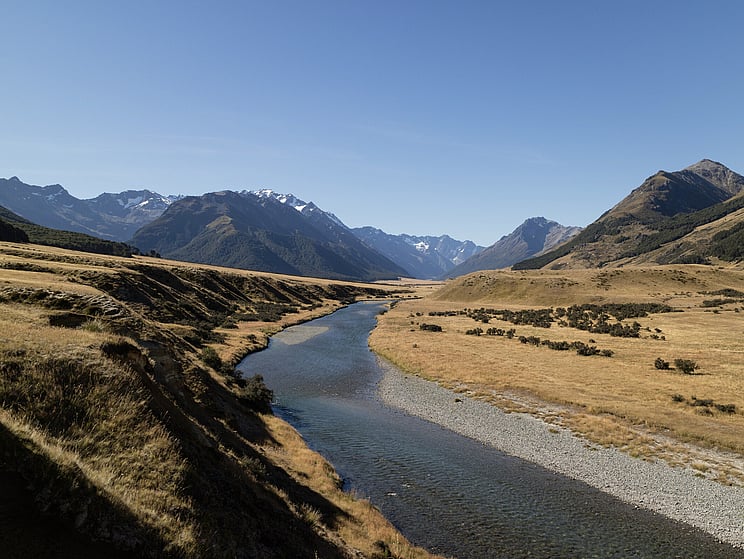 NZ tourism, adventure, Backcountry, explore, Todd Adolph, NZ, New Zealand, Brown Trout, flyfishing, otago, southland, south Island, Fishing Guide, fishing fluefiske, flugfiske