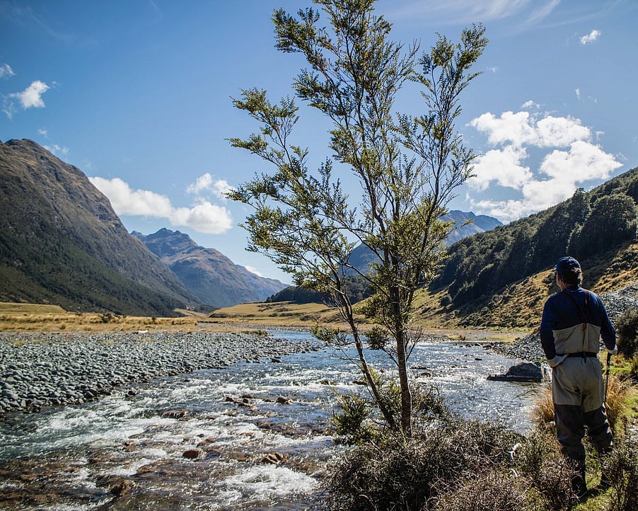 Sight fishing Greenstone valley on a helicopter fishing adventure Todd Adolph 