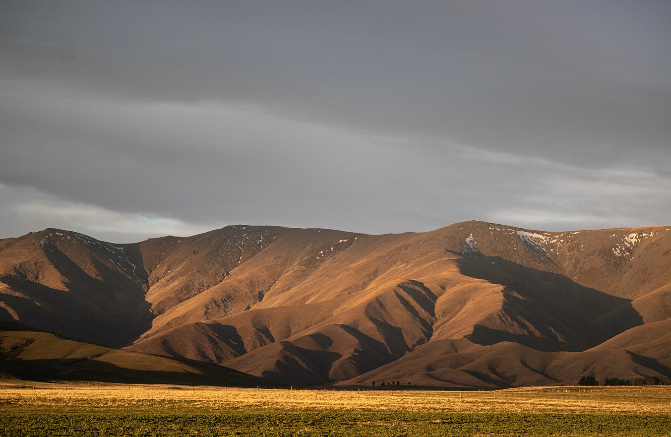 Evening drives on the way home from the river in Otago can be something to savour. Todd Adolph