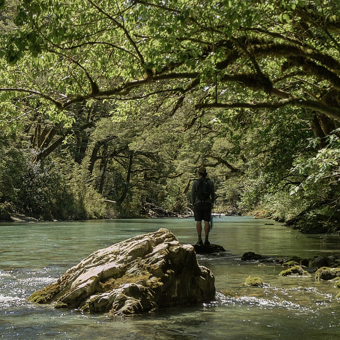 New Zealand Back country crystal clear water Todd Adolph