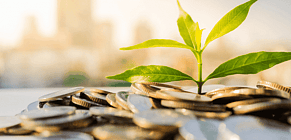 Don't let your emotions run your investments