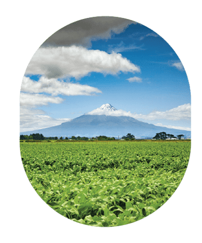 Catchment Resources