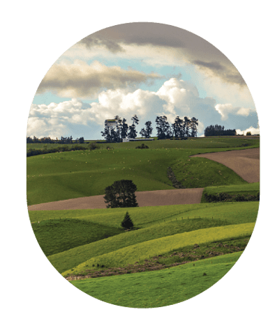 Catchment Resources