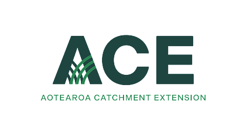 Aotearoa Catchment Extension