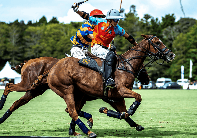 Polo Team Support