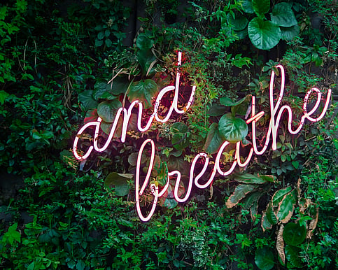 Picture of a garden with ferns and trees with the writing "and breath"
