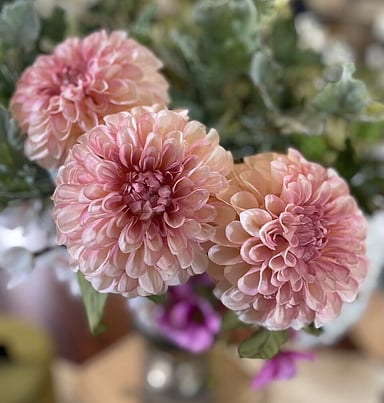 Faux flower styling by Julia Empson Interiors. Ohaupo, Hamilton, New Zealand,