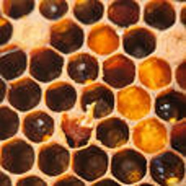 Closeup of frame