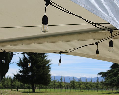 10m festoons
