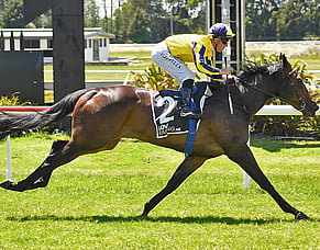 L'Aigle Noir Confirmed for $4million NZB Kiwi