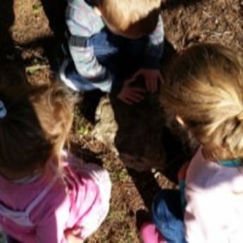 Kids outdoor play