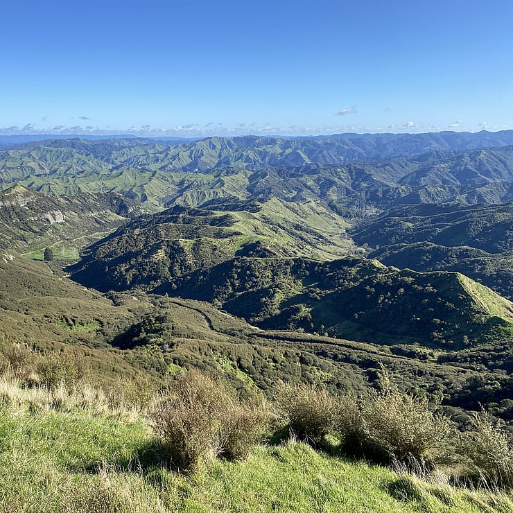 King Country NZ