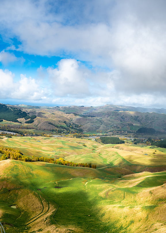 New Zealand Farm Land