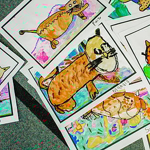 What's On at Riverview School in Kerikeri