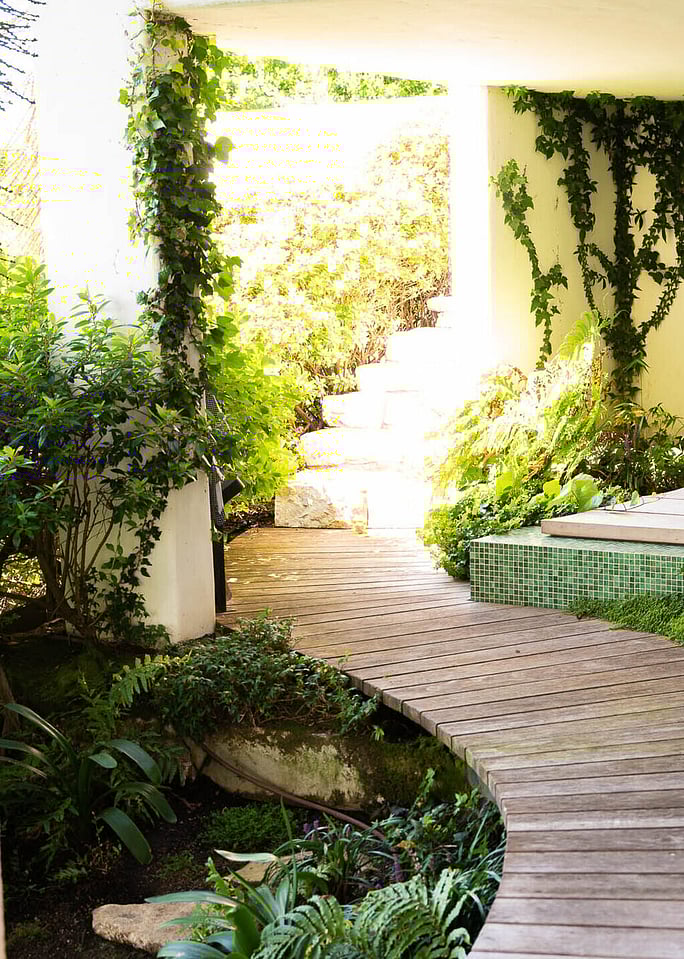 Boardwalk through hidden green oasis 
