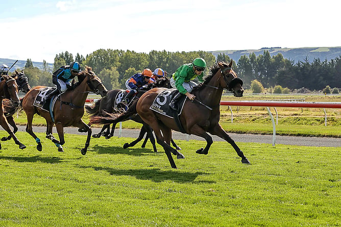 Noble Knight winning the Listed Positive Signs + Print Dunedin Gold Cup (2400m).  - Photo: Monica Toretto